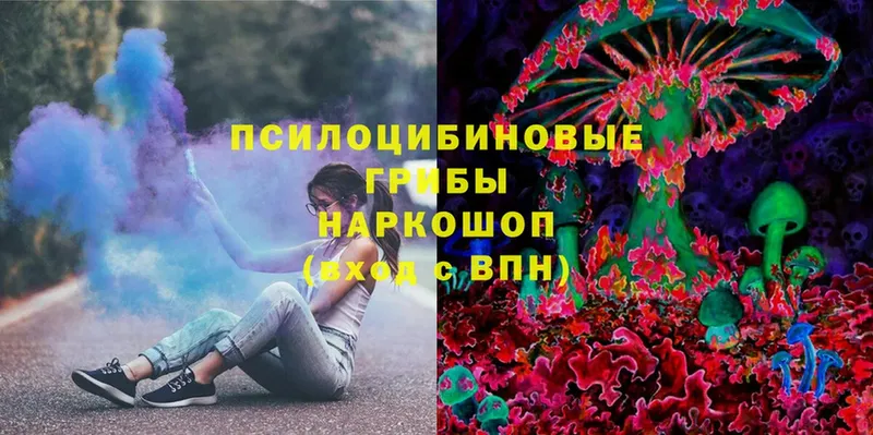 Псилоцибиновые грибы Magic Shrooms  Клинцы 